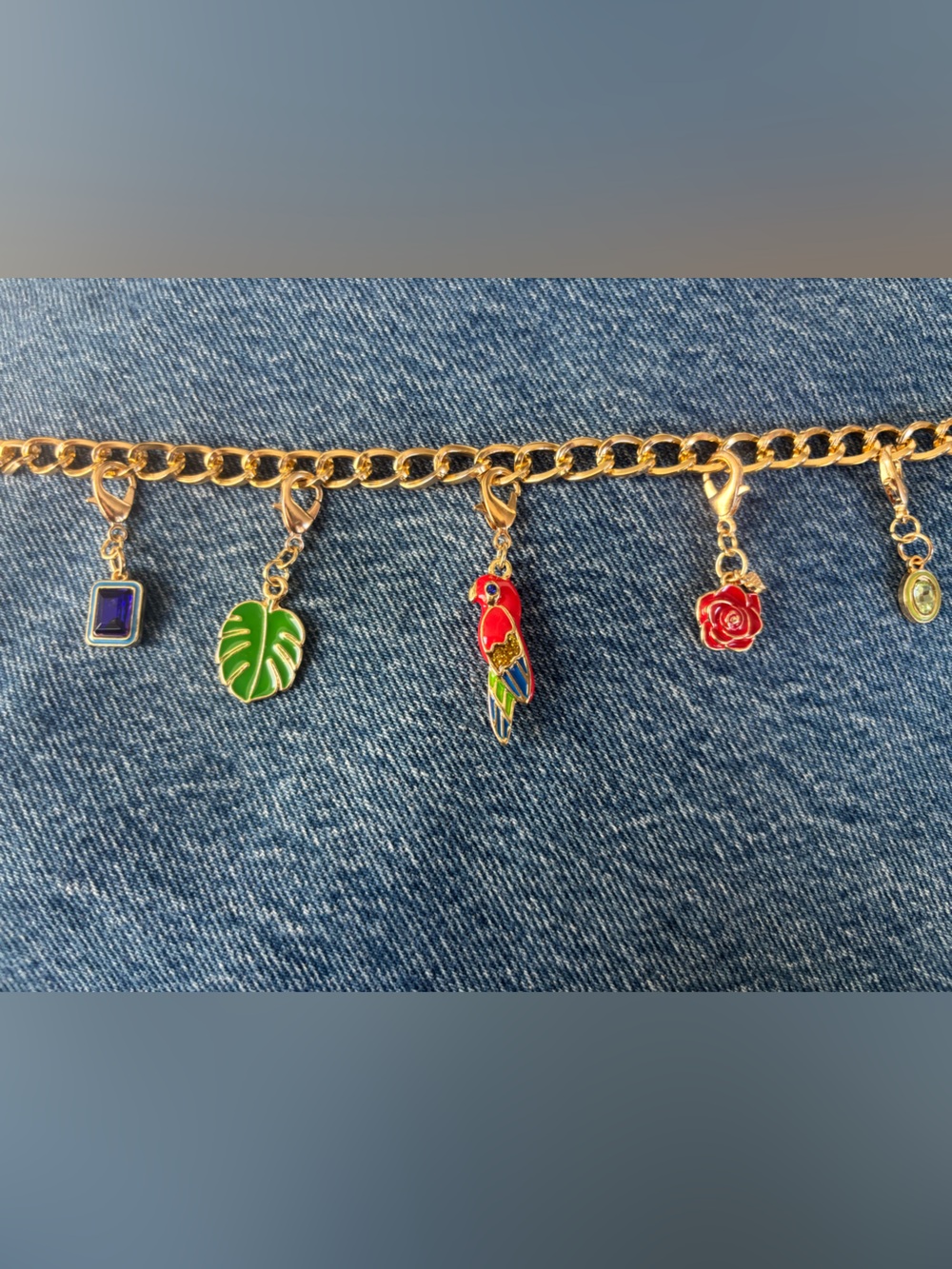 Charm Bag Chain Parrot